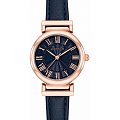Часы Anne Klein Classic 2246RGNV