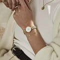 Rosefield Rosefield The Small Edit 26WSG-267  американские женские часы на браслете сталь c pvd покрытием боковой вид