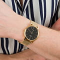 Часы Festina Swiss Made F20022/3 фото 2