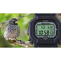 Casio Casio G-Shock GW-B5600CD-1A3 электронные мужские часы часы крупный план  циферблата