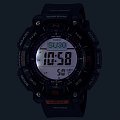 Часы Casio Pro Trek PRG-340-1DR (PRG-340-1E) фото 9