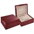 Часы Salvatore Ferragamo SFDE00118 фото 5