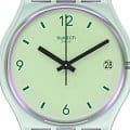 Часы Swatch Gent Biosourced Standard SO28G401 фото 2