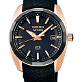 Часы Seiko Astron GPS SSJ012J1