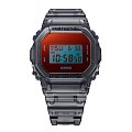 Часы Casio G-Shock DW-5600TLS-8DR (DW-5600TLS-8) фото 5