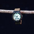 Часы Casio Pro Trek PRW-61LD-5 фото 9