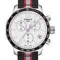 Часы Tissot Quickster NBA Toronto Raptors T095.417.17.037.16