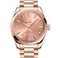Часы Omega Seamaster Aqua Terra 220.50.38.20.10.001