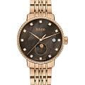 Rado Rado Coupole Diamonds Moonphase R22884903  R22884903 кварцевые женские часы  коричневый циферблат, браслет нержавеющая сталь с pvd-покрытием — вид спереди